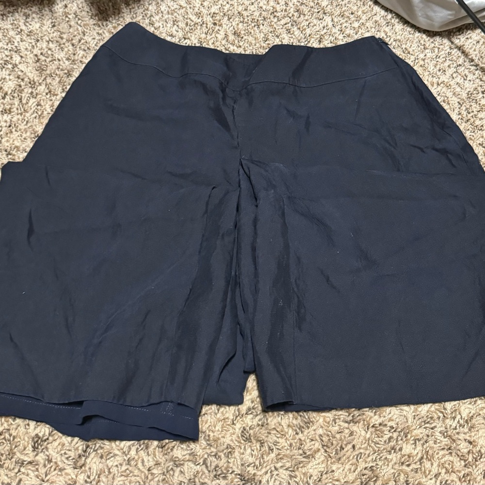 Navy Talbot dress pants size 12